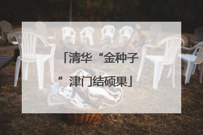清华“金种子”津门结硕果