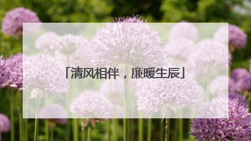 清风相伴，廉暖生辰