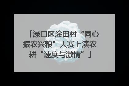 渌口区淦田村“同心振农兴粮”大赛上演农耕“速度与激情”