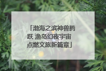 渤海之滨神兽腾跃 渔岛幻夜宇宙点燃文旅新篇章