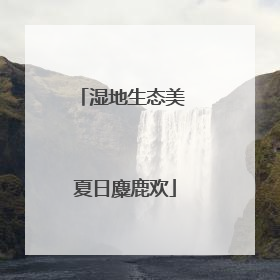 湿地生态美 夏日麋鹿欢