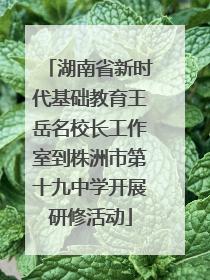 湖南省新时代基础教育王岳名校长工作室到株洲市第十九中学开展研修活动