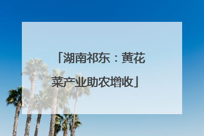湖南祁东：黄花菜产业助农增收