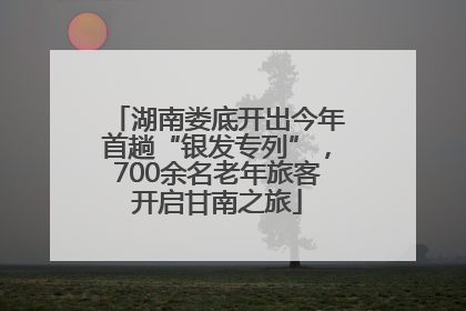 湖南娄底开出今年首趟“银发专列”，700余名老年旅客开启甘南之旅