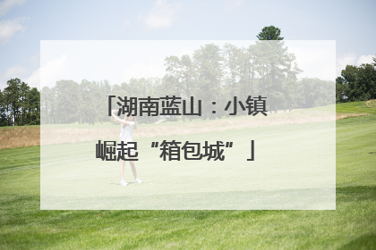 湖南蓝山：小镇崛起“箱包城”
