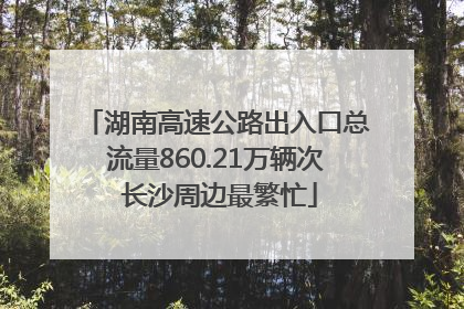 湖南高速公路出入口总流量860.21万辆次 长沙周边最繁忙