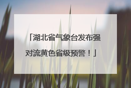 湖北省气象台发布强对流黄色省级预警！