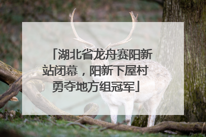 湖北省龙舟赛阳新站闭幕，阳新下屋村勇夺地方组冠军
