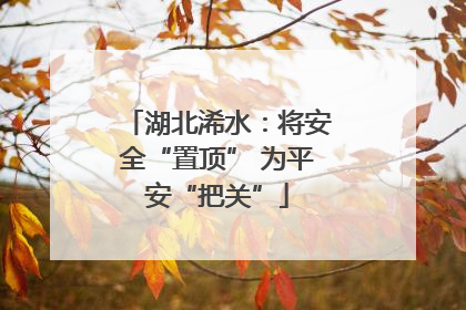 湖北浠水：将安全“置顶” 为平安“把关”
