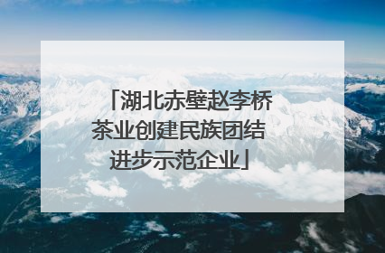 湖北赤壁赵李桥茶业创建民族团结进步示范企业