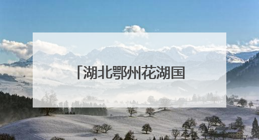 湖北鄂州花湖国际机场开通4条“荔枝航线”
