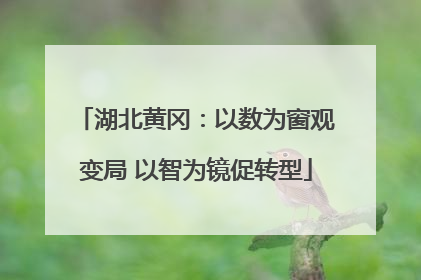 湖北黄冈：以数为窗观变局 以智为镜促转型