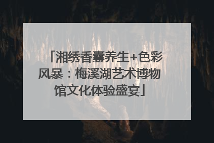 湘绣香囊养生+色彩风暴：梅溪湖艺术博物馆文化体验盛宴