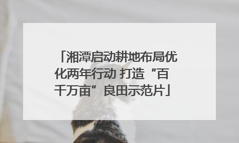湘潭启动耕地布局优化两年行动 打造“百千万亩”良田示范片