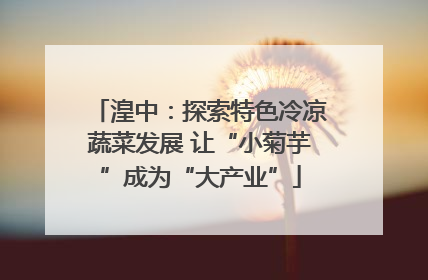 湟中：探索特色冷凉蔬菜发展 让“小菊芋”成为“大产业”