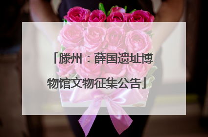 滕州：薛国遗址博物馆文物征集公告