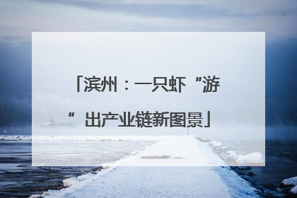 滨州：一只虾“游”出产业链新图景
