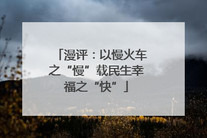 漫评：以慢火车之“慢”载民生幸福之“快”