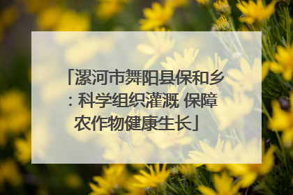 漯河市舞阳县保和乡：科学组织灌溉 保障农作物健康生长