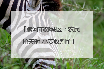 漯河市郾城区：农民抢天时 小麦收割忙