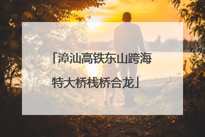 漳汕高铁东山跨海特大桥栈桥合龙