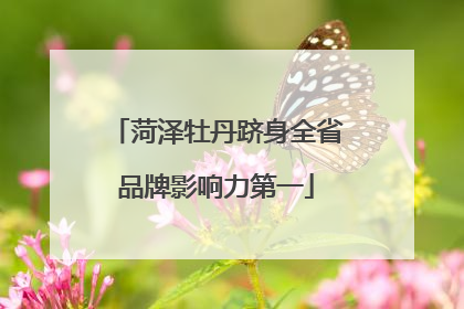 菏泽牡丹跻身全省品牌影响力第一