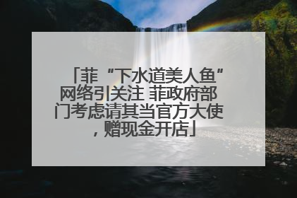 菲“下水道美人鱼”网络引关注 菲政府部门考虑请其当官方大使，赠现金开店