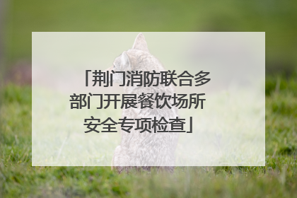 荆门消防联合多部门开展餐饮场所安全专项检查
