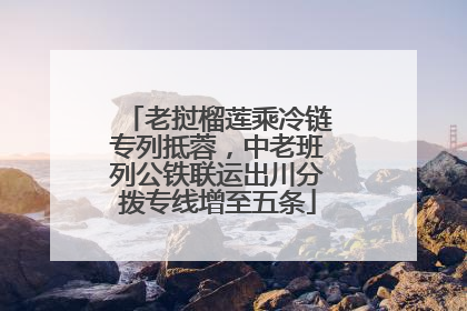 老挝榴莲乘冷链专列抵蓉，中老班列公铁联运出川分拨专线增至五条