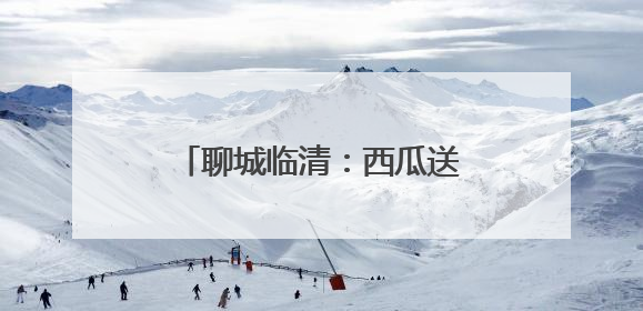 聊城临清：西瓜送一线 冰块进车间