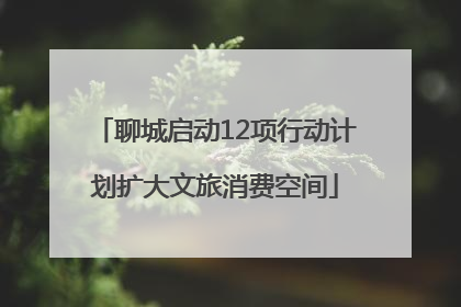 聊城启动12项行动计划扩大文旅消费空间