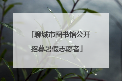聊城市图书馆公开招募暑假志愿者