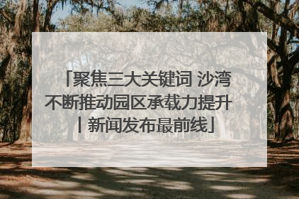 聚焦三大关键词 沙湾不断推动园区承载力提升丨新闻发布最前线