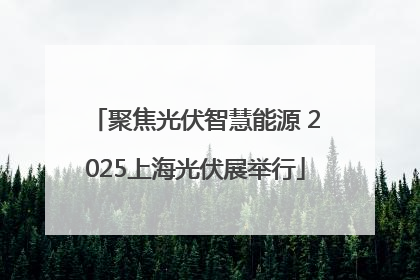 聚焦光伏智慧能源 2025上海光伏展举行