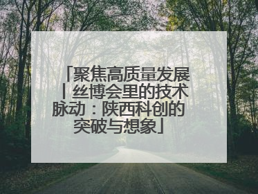 聚焦高质量发展丨丝博会里的技术脉动：陕西科创的突破与想象