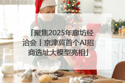 聚焦2025年廊坊经洽会丨京津冀首个AI招商选址大模型亮相