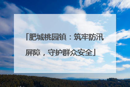 肥城桃园镇：筑牢防汛屏障，守护群众安全