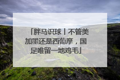 胖马识球丨不管美加墨还是西葡摩，国足唯留一地鸡毛