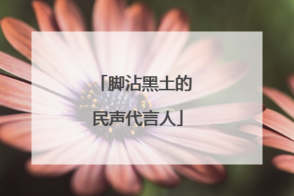 脚沾黑土的民声代言人