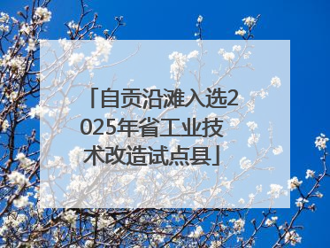 自贡沿滩入选2025年省工业技术改造试点县