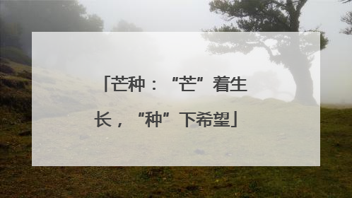 芒种：“芒”着生长，“种”下希望