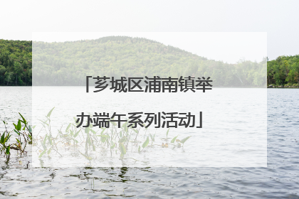 芗城区浦南镇举办端午系列活动