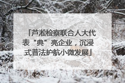 芦淞检察联合人大代表“典”亮企业，沉浸式普法护航小微发展