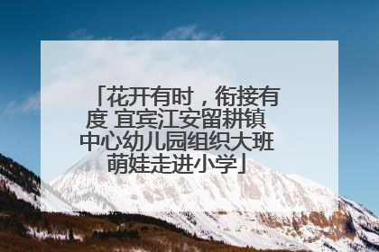 花开有时，衔接有度 宜宾江安留耕镇中心幼儿园组织大班萌娃走进小学