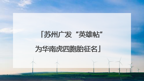 苏州广发“英雄帖”为华南虎四胞胎征名