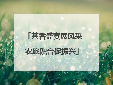 茶香盛宴展风采 农旅融合促振兴