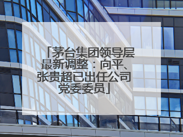 茅台集团领导层最新调整：向平、张贵超已出任公司党委委员
