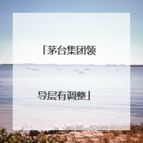 茅台集团领导层有调整