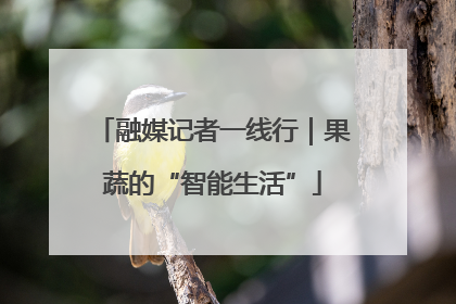 融媒记者一线行｜果蔬的“智能生活”