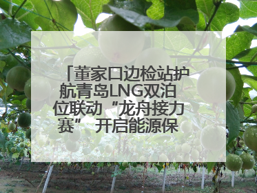 董家口边检站护航青岛LNG双泊位联动“龙舟接力赛” 开启能源保供新篇章